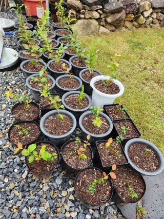 임용관님의 자유주제 · 자유게시판 작성글 사진