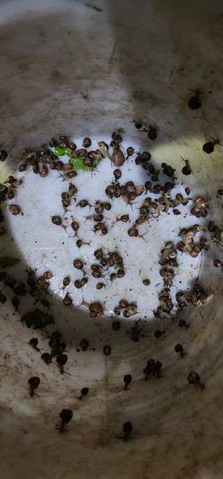 안뜰그랑님의 자유주제 · 자유게시판 작성글 사진