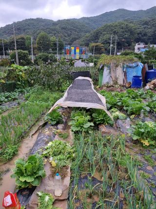김경일 님의 자유주제 · 자유게시판 작성글 사진