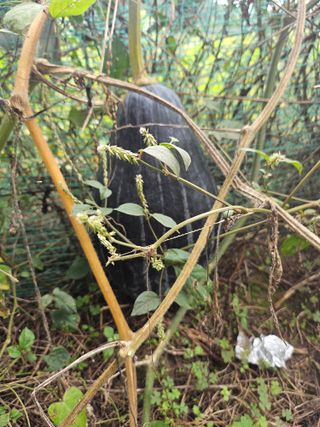 김강호님의 자유주제 · 자유게시판 작성글 사진