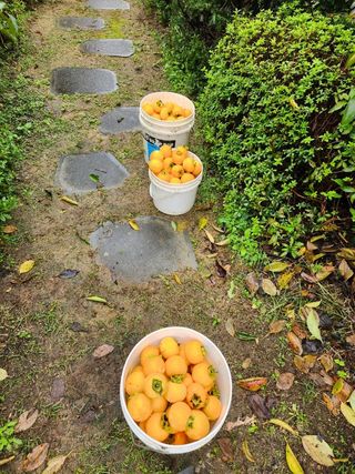 장석오님의 자유주제 · 자유게시판 작성글 사진