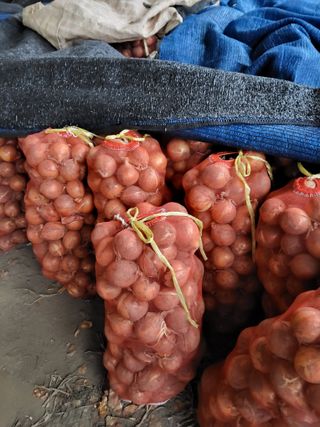 이용근님의 작성글 사진