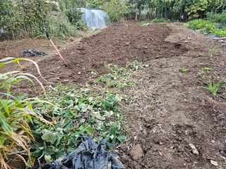 청산거사님의 자유주제 · 자유게시판 작성글 사진