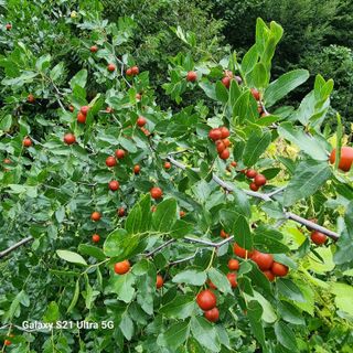 이종권님의 자유주제 · 자유게시판 작성글 사진