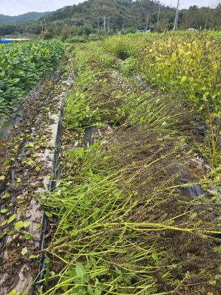 정태권님의 자유주제 · 자유게시판 작성글 사진