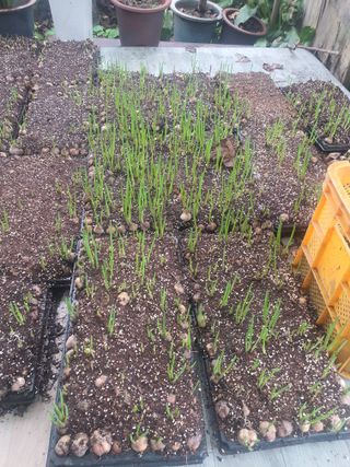 옥천서화농님의 자유주제 · 자유게시판 작성글 사진