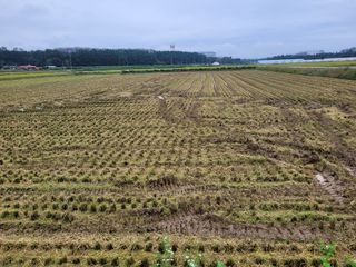 커피나무님의 자유주제 · 자유게시판 작성글 사진