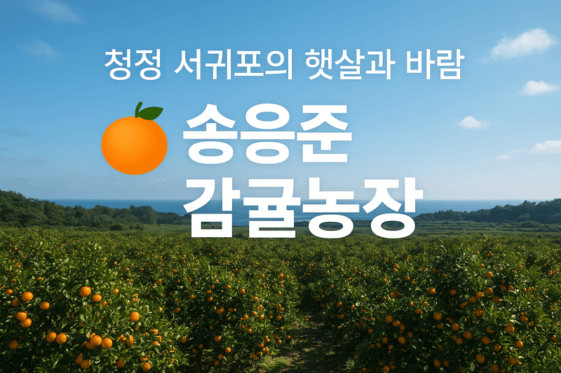 장터 상품 [극조생귤 9.5kg] 썸네일