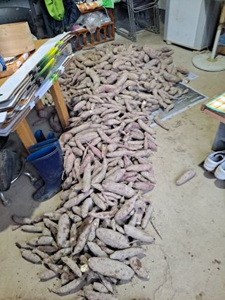 이연주님의 자유주제 · 사진전 작성글 사진