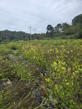 정태권님의 자유주제 · 자유게시판 작성글 사진