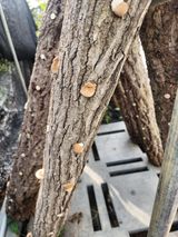 팜모닝 자유주제·자유게시판 게시글 이미지