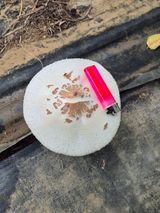 팜모닝 자유주제·자유게시판 게시글 이미지