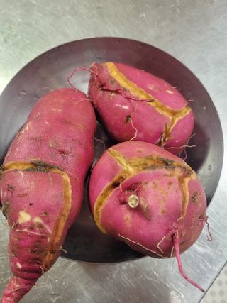 박주희님의 자유주제 · 자유게시판 작성글 사진