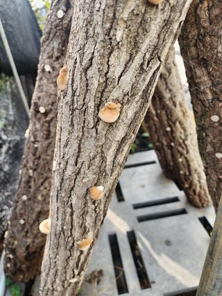 오여사님의 자유주제 · 자유게시판 작성글 사진