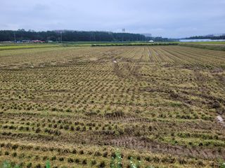 커피나무님의 자유주제 · 자유게시판 작성글 사진