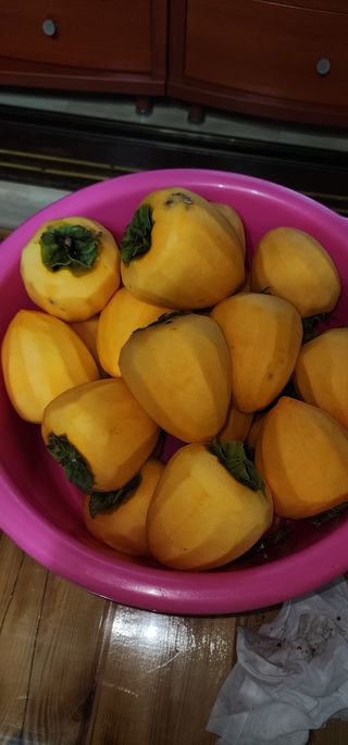 김선례님의 자유주제 · 자유게시판 작성글 사진