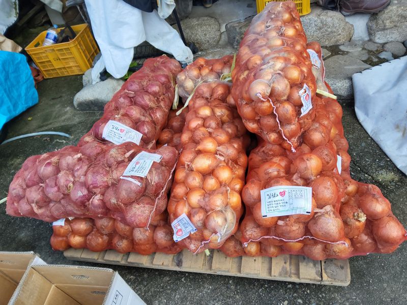 장터 상품 [양파 20키로 대자 완판입니다] 썸네일