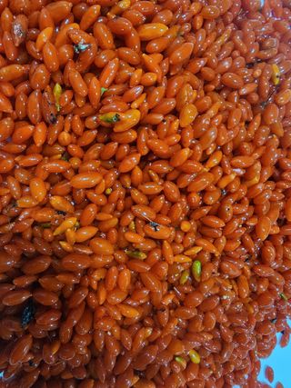 포도10314님의 자유주제 · 자유게시판 작성글 사진