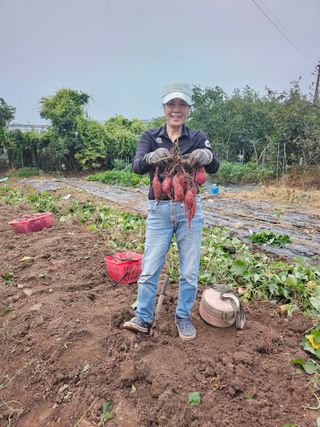 청산거사님의 자유주제 · 자유게시판 작성글 사진