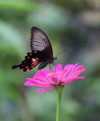 안길원님의 자유주제 · 자유게시판 작성글 사진