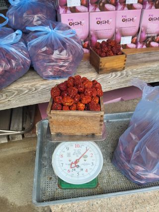 이용근님의 작성글 사진