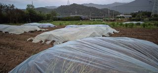 최용운님의 자유주제 · 자유게시판 작성글 사진