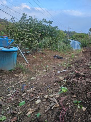 청산거사님의 자유주제 · 자유게시판 작성글 사진