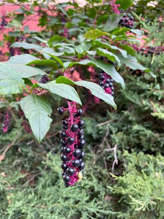 안길원님의 자유주제 · 자유게시판 작성글 사진