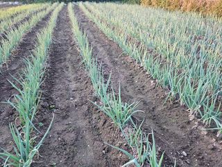 오영관님의 자유주제 · 자유게시판 작성글 사진