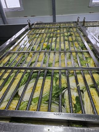 홍천산채농원님의 작성글 사진