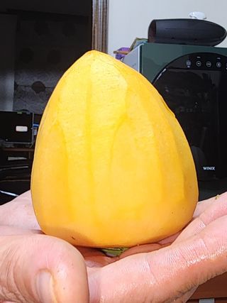 김선례님의 자유주제 · 자유게시판 작성글 사진