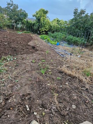 청산거사님의 자유주제 · 자유게시판 작성글 사진