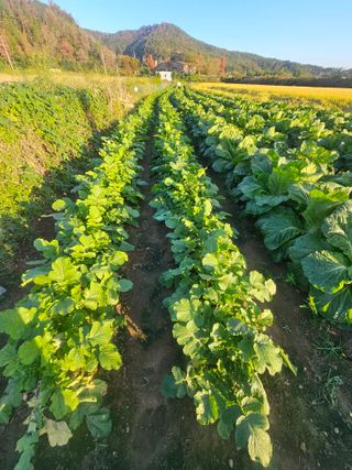 오영관님의 자유주제 · 자유게시판 작성글 사진