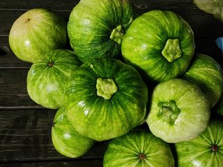 포도10314님의 자유주제 · 자유게시판 작성글 사진