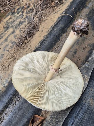 가인 5362님의 자유주제 · 자유게시판 작성글 사진