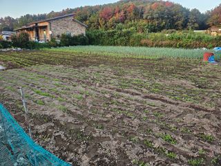 오영관님의 자유주제 · 자유게시판 작성글 사진