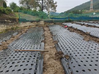 옥천서화농님의 자유주제 · 자유게시판 작성글 사진