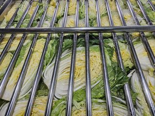 홍천산채농원님의 작성글 사진