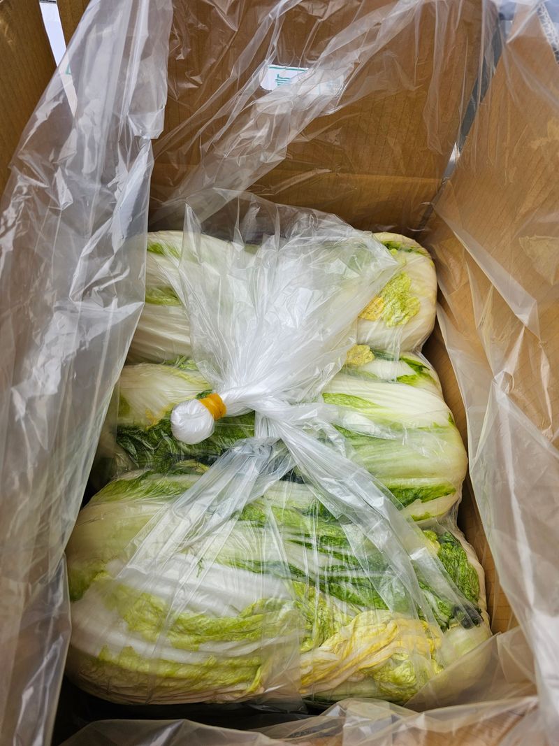홍천산채농원님의 장터 판매 상품 [강원도 고랭지 절임배추 20kg] 첨부 사진