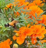 팜모닝 자유주제·자유게시판 게시글 이미지