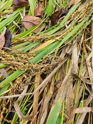 윤재하님의 자유주제 · 자유게시판 작성글 사진