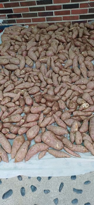 이강재님의 자유주제 · 자유게시판 작성글 사진