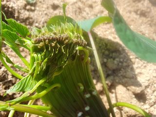 김양석님의 자유주제 · 자유게시판 작성글 사진