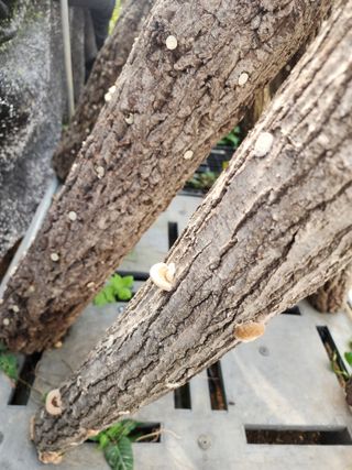 오여사님의 자유주제 · 자유게시판 작성글 사진