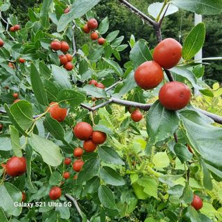 이종권님의 자유주제 · 자유게시판 작성글 사진