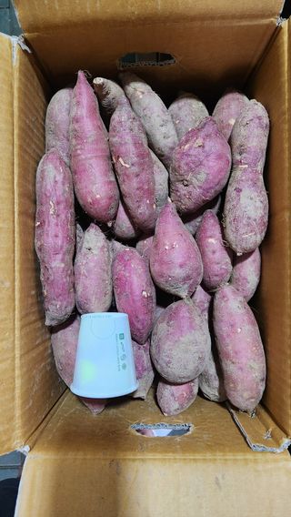 금제섭님의 작성글 사진