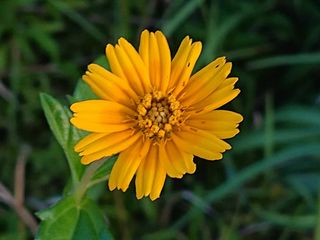 안길원님의 자유주제 · 자유게시판 작성글 사진