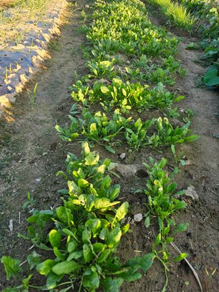 오영관님의 자유주제 · 자유게시판 작성글 사진