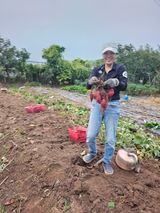 팜모닝 자유주제·자유게시판 게시글 이미지