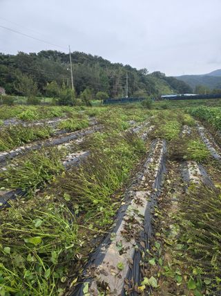 정태권님의 자유주제 · 자유게시판 작성글 사진
